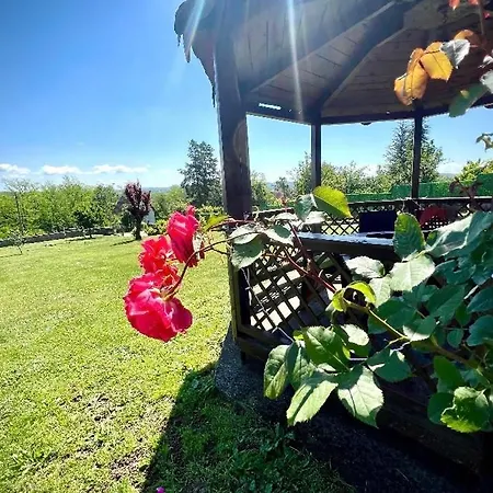 La Hacienda Belgrade * Drazevac