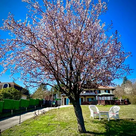 La Hacienda Belgrade Apartamento *