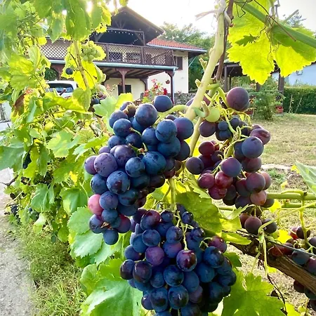 La Hacienda Belgrade *