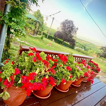 Διαμέρισμα La Hacienda Belgrade Drazevac