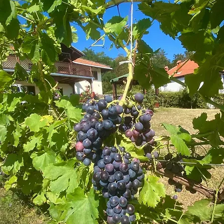 La Hacienda Belgrade * Drazevac